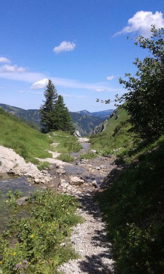 Alpenappartement Kleiner Tannheim Buitenkant foto